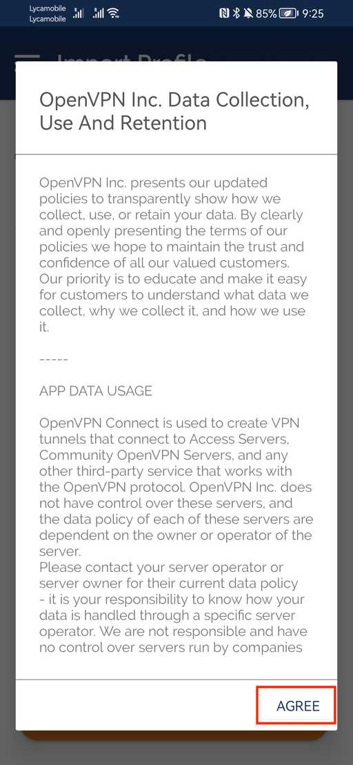 accepting term of use in openvpn app