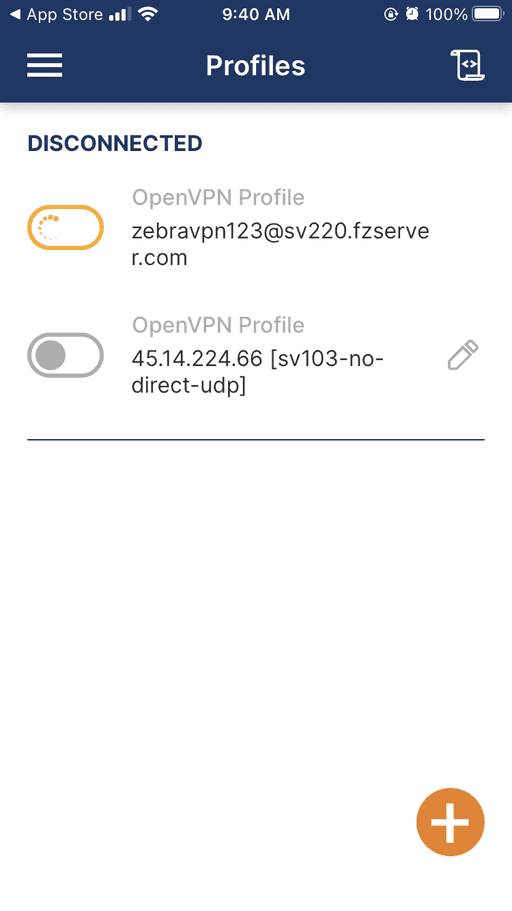 Openvpn profile details
