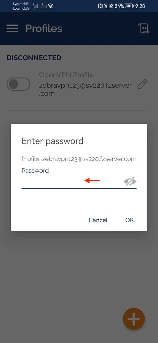 Openvpn asks for password