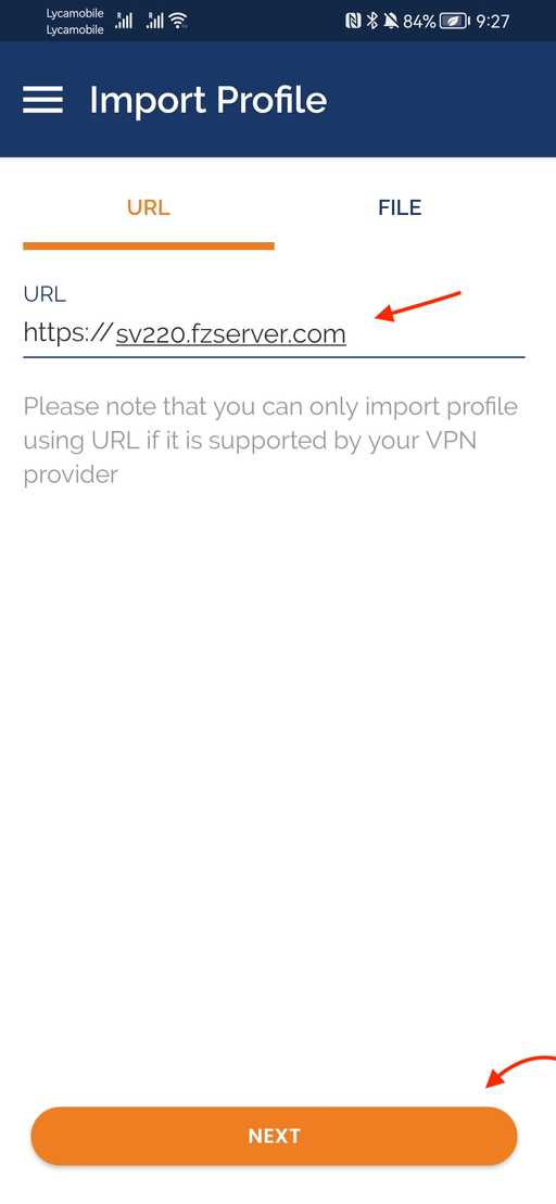 Entering the url followed by a textbox presented in openvpn app